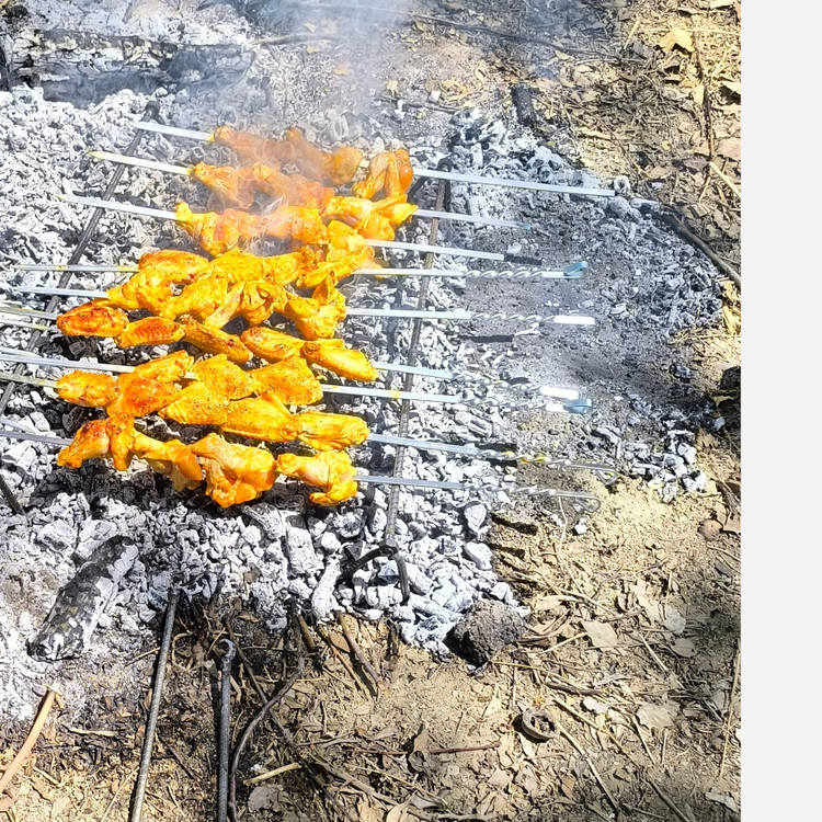 منقل صحرایی مسافرتی کم جا کباب پز فولادی